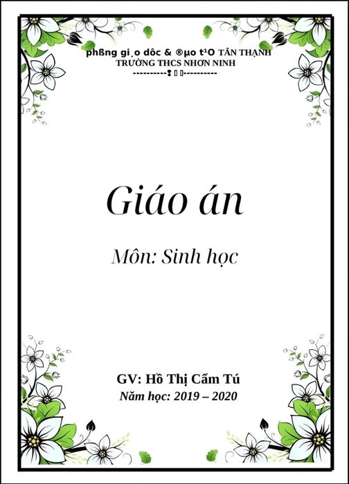 Mẫu bìa giáo án dễ nhìn, dễ sử dụng