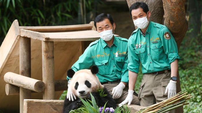 Fu Bao Bảo Bối Của Ông là hành trình tiễn biệt cô gấu trúc nổi tiếng nhất Hàn Quốc.