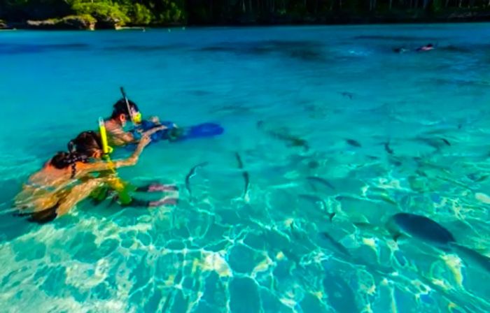 snorkelers admiring the fish in Oro Bay