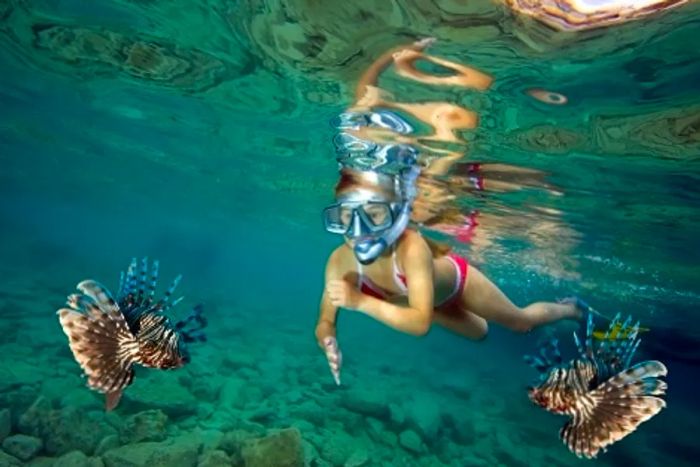 young girl snorkeling alongside a lionfish