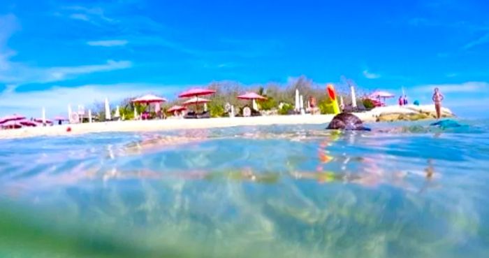 a child snorkeling at a Noumea beach