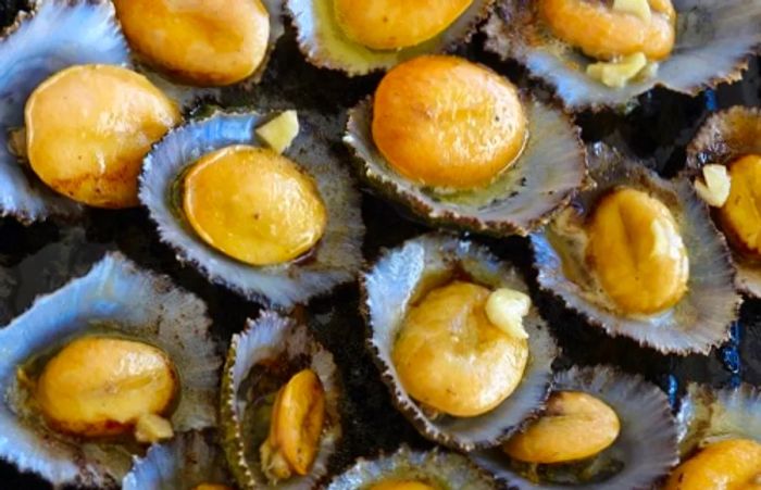 a dish of limpets, a traditional treat in the Azores