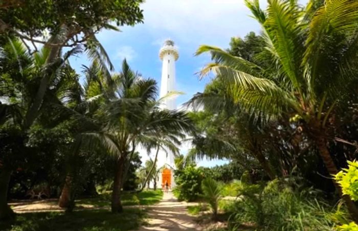 a lighthouse nestled among trees in Noumea