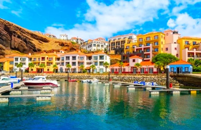 colorful houses lining a marina along the Madeira coast in Portugal