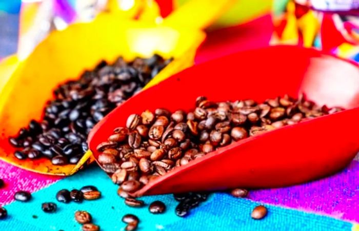 two scoops of Mexican coffee beans resting on a table