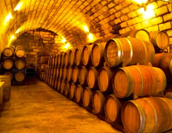 wine barrels at a Mallorca winery