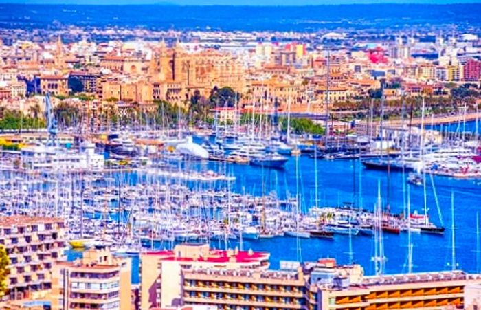 the marina of palma de mallorca