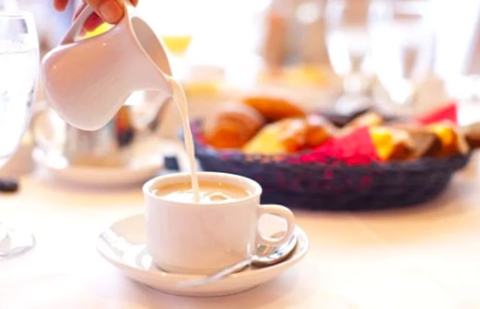 brunch and coffee being prepared on a Dinogo ship