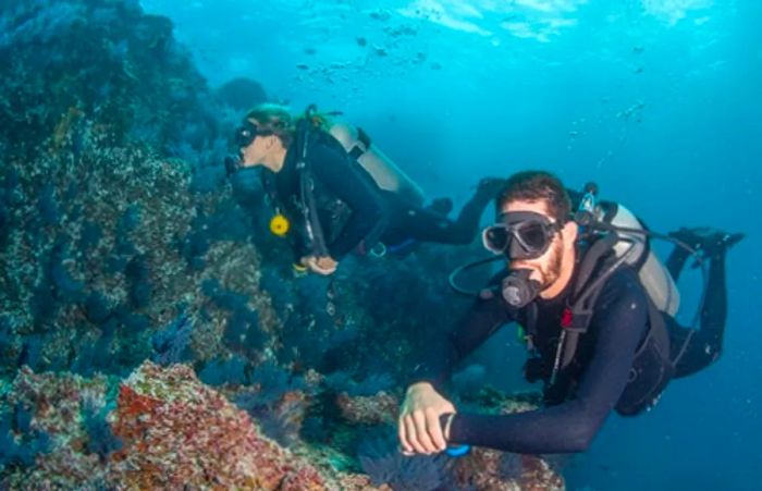 a man and woman exploring the underwater world while scuba diving near a reef off the coast of Cabo San Lucas