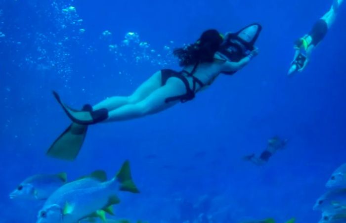 woman power snorkeling in the western Caribbean port of Grand Turk