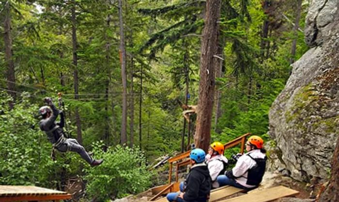 Four friends zip-lining through the Alaskan forest.