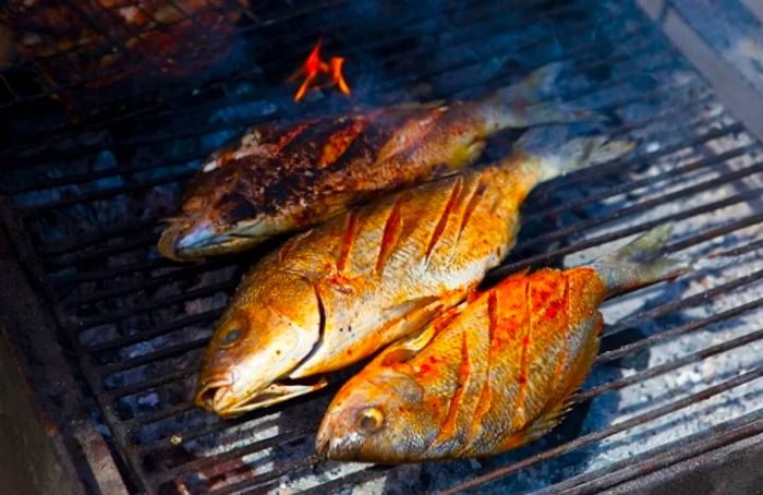 3 grilled snappers from grand turk