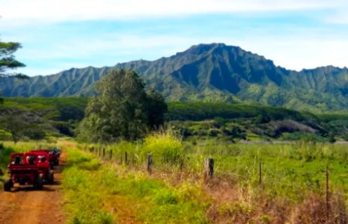 4x4 red mudbug traversing off-road toward the mountains of Kauai, Hawaii