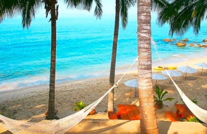 several hammocks tied on palm trees in a hidden beach in the mexican riviera