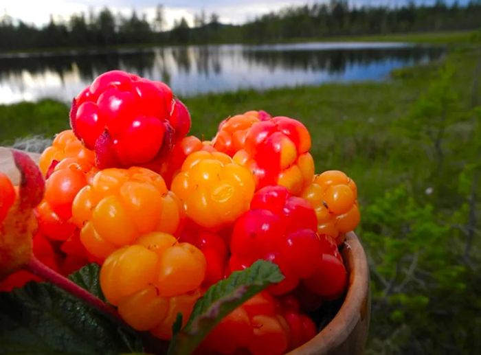 vibrant red, orange, and yellow berries arranged in a basket with a serene lake in the background