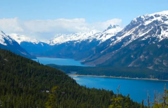 aerial view of the snow-capped mountain range in Alaska