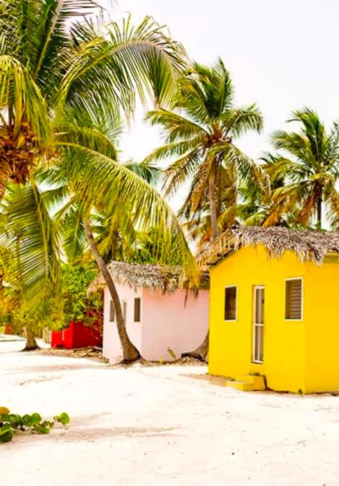 Vibrant huts lining the beach, surrounded by palm trees