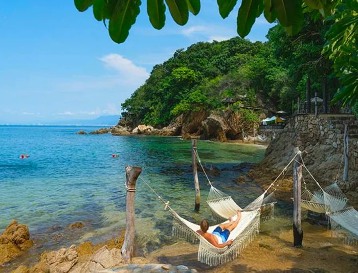 person lounging in a hammock on the beach