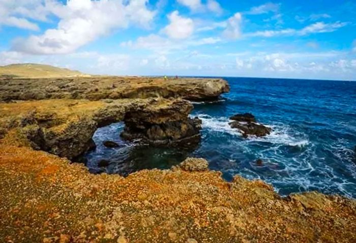 Limestone bridges carved by the ocean in Aruba