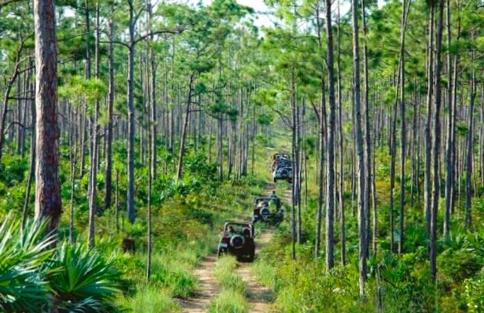 a line of jeeps driving in a single file along dirt trails in Freeport