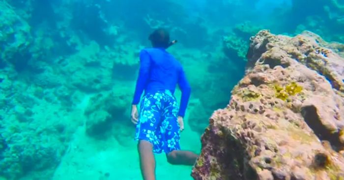 man snorkeling over a reef in the Caribbean waters off the coast of Amber Cove