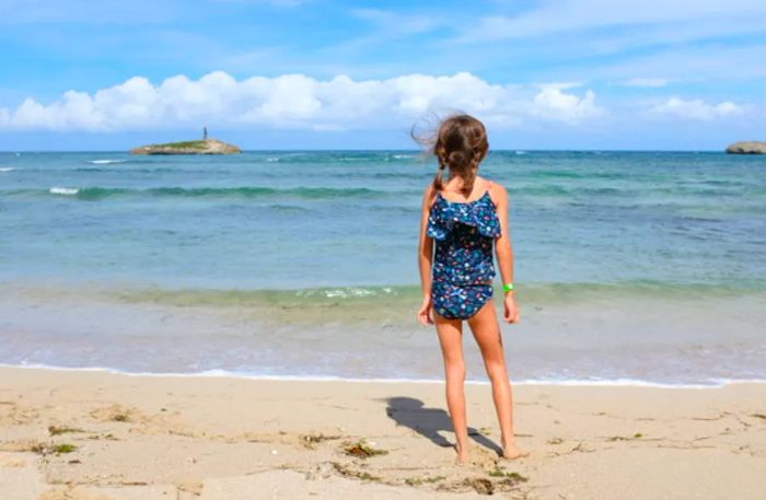 serene beach photograph