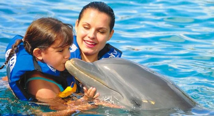 a mother standing beside her daughter as she kisses a dolphin at St. Kitts Dolphin Discovery Park