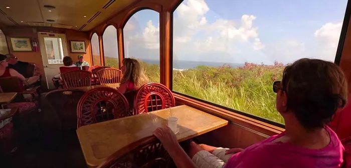 a woman gazing out the window during a journey along the St. Kitts railway