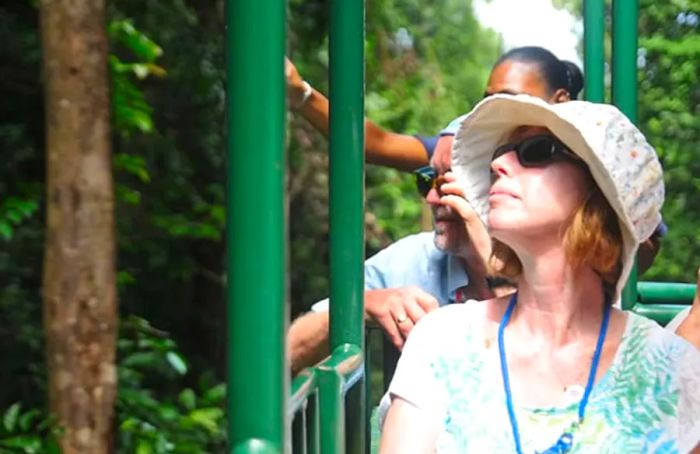 a woman admiring St. Lucia’s rainforest while riding an aerial tram