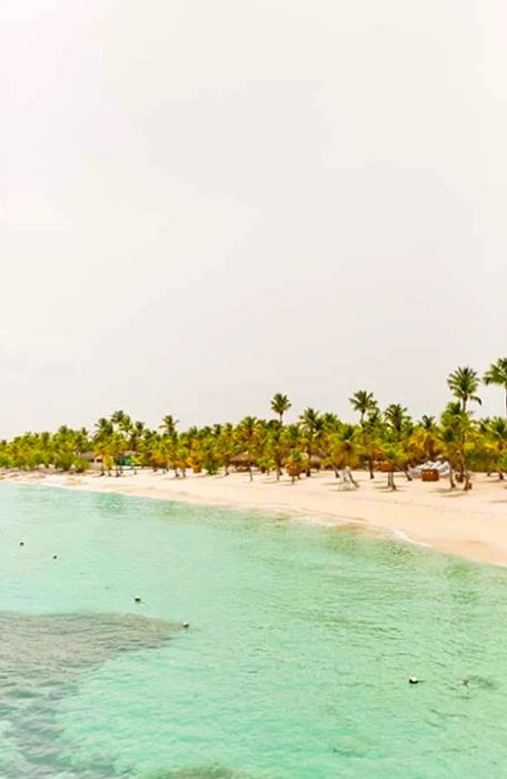 A view from the water showcasing a sandy beach dotted with palm trees on Catalina Island, Dominican Republic