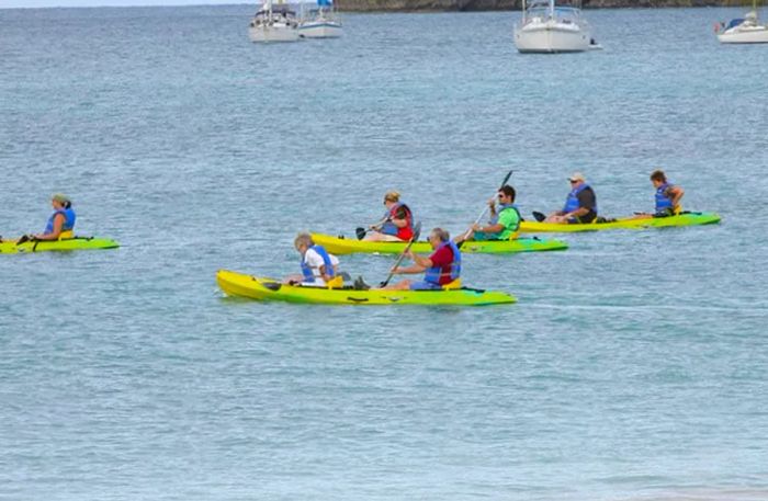 groups of people kayaking in pairs near the shores of Pigeon Island