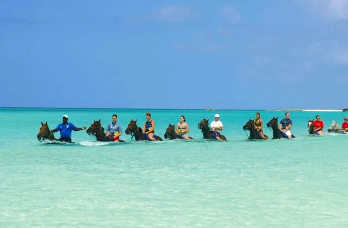 tour guide leading a group along the ocean shore on horseback