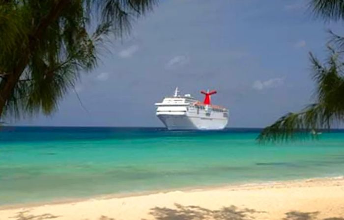 Dinogo cruise ship anchored near a Caribbean beach