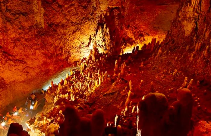 tourists riding trucks for a tour of Harrison’s Cave in Barbados