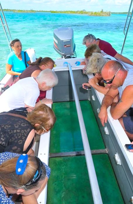 a group of people observing underwater wildlife in Half Moon Cay through a glass-bottom boat