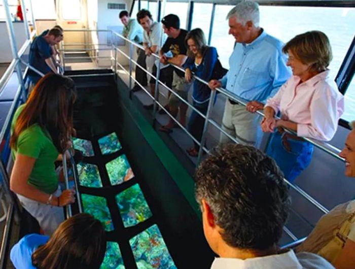 individuals gazing at coral reefs beneath a glass-bottom boat in Key West