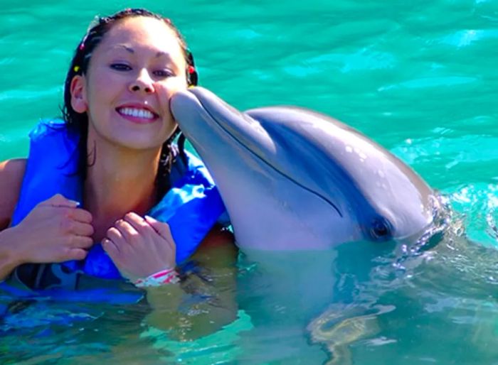 a dolphin giving a kiss to a woman while she swims in Ocean World