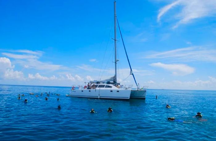 a group of people snorkeling near a catamaran off the coast of Freeport