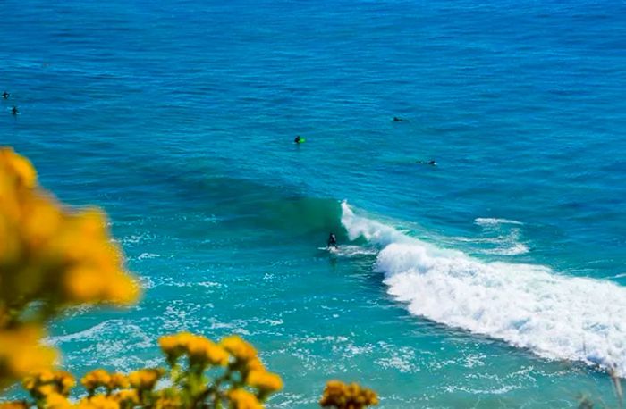 surfers riding the waves on the beach