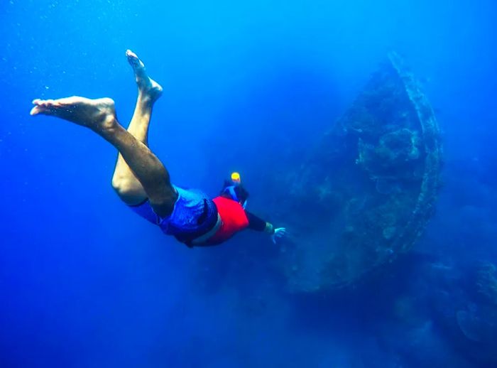 snorkeler approaching a shipwreck off the coast of Barbados