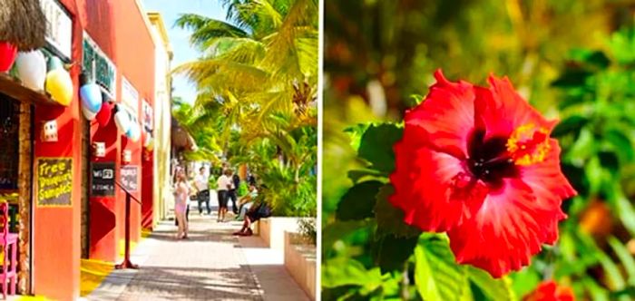 Cozumel-Mexico-Collage