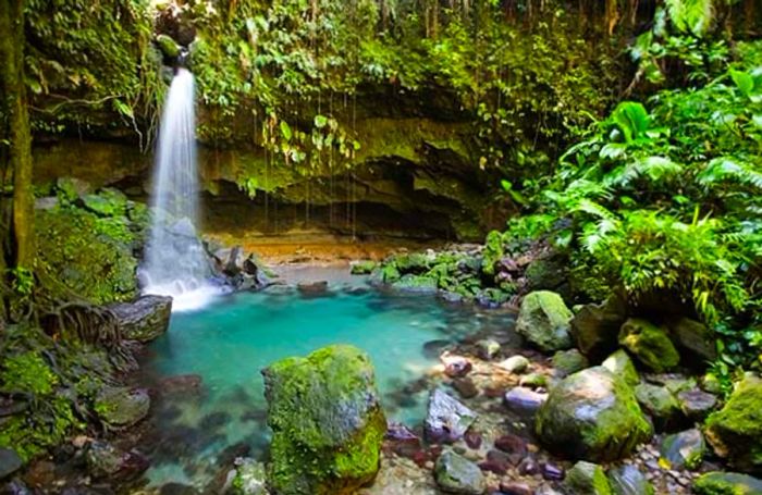 breathtaking tropical waterfall cascading into a natural pool within Dominica’s rainforest