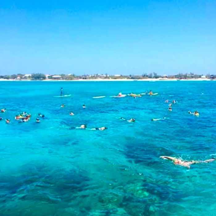 a group of snorkelers enjoying Grand Turk