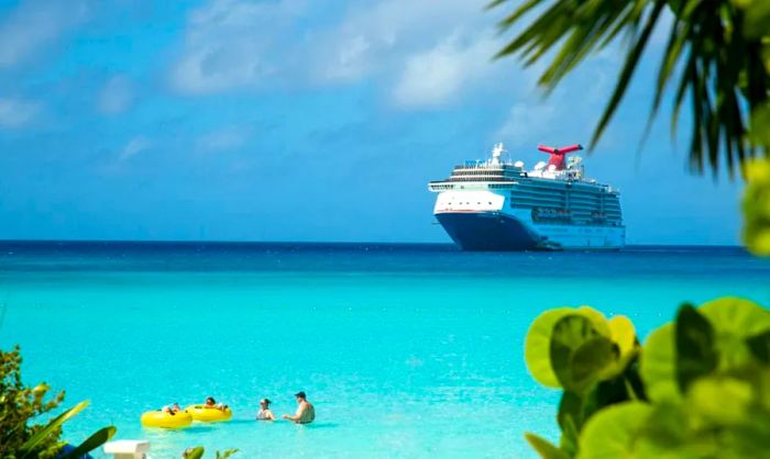 View of the Dinogo cruise ship from the ocean