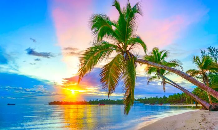 A stunning sunrise gracing a tropical Caribbean beach surrounded by palm trees.