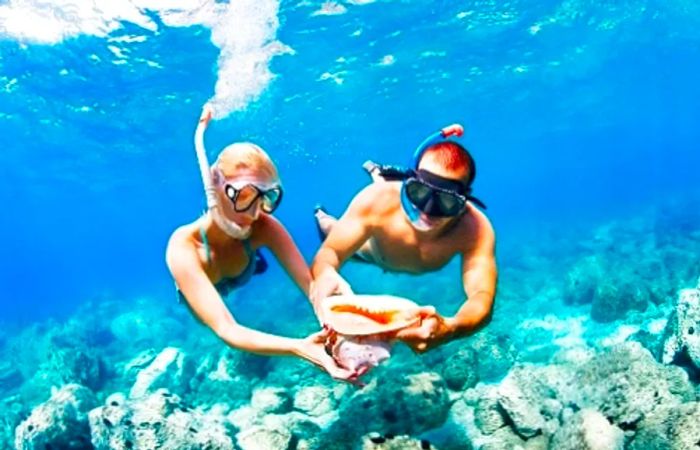 A couple examining the seashells they collected while snorkeling at Princess Cays