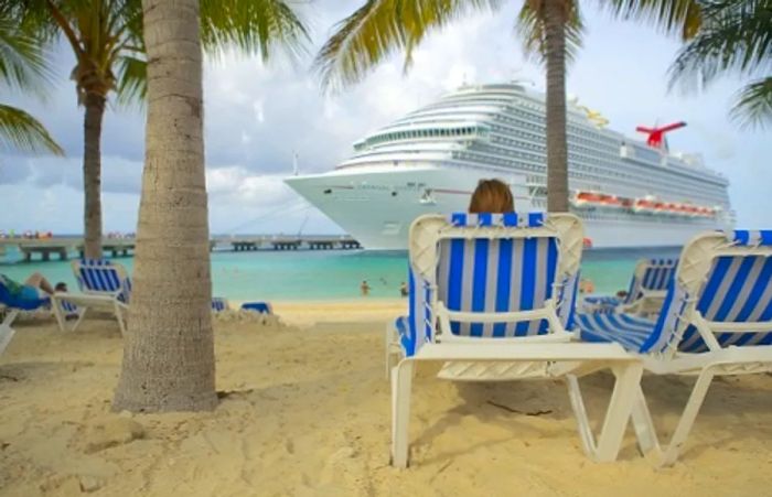 a woman on the beach observing a Dinogo ship arriving at the port