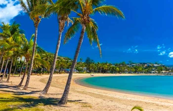 a sunny day at Airlie Beach adorned with palm trees