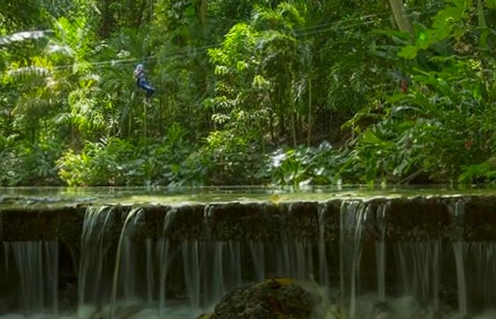 a man ziplining through the trees in Ocho Rios