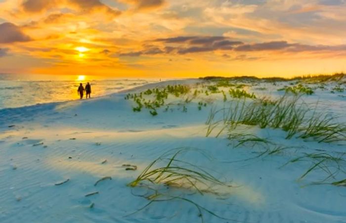 A stunning sunset over the white sands of Jacksonville Beach